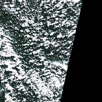 overview
