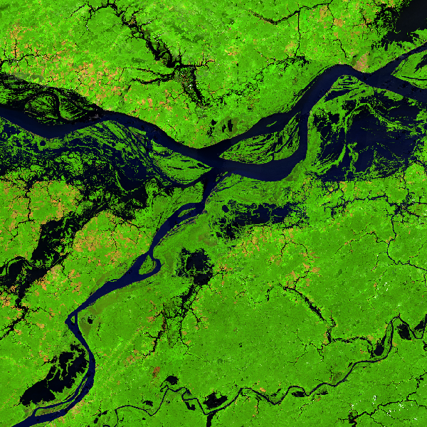 overview