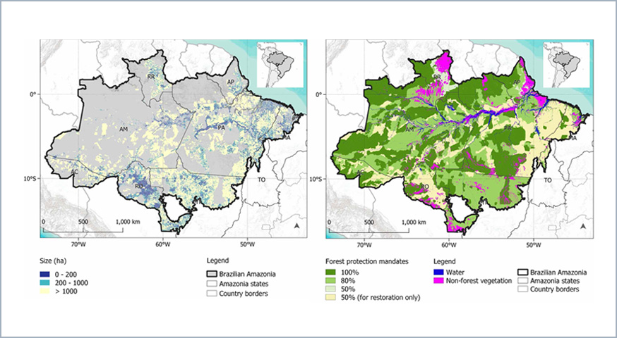 Impact of land tenure on deforestation control and forest restoration in Brazilian Amazonia