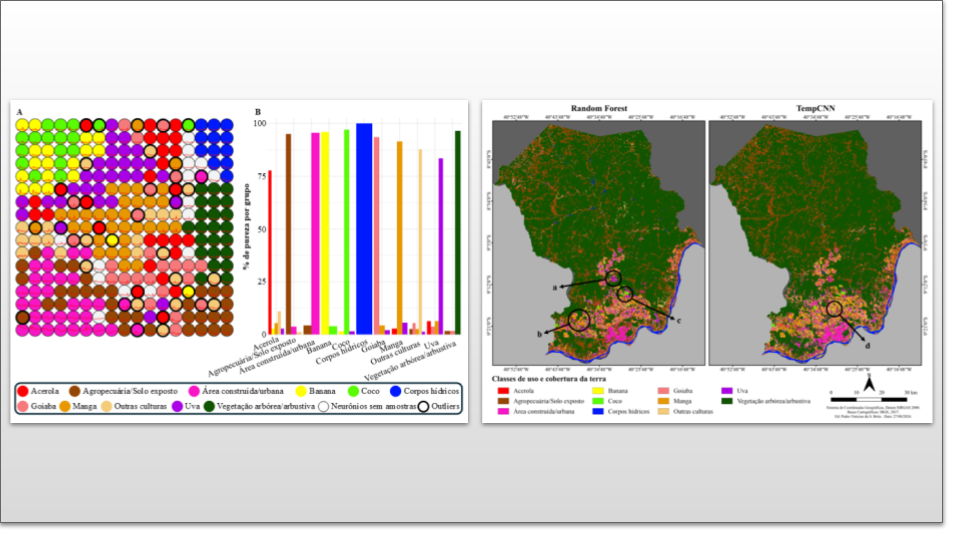 Using time series and machine learning techniques to classify agricultural areas in petrolina-pe