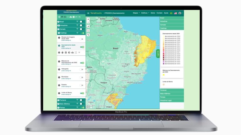 PRODES 2023: INPE divulga mapeamento da Caatinga e do Pampa
