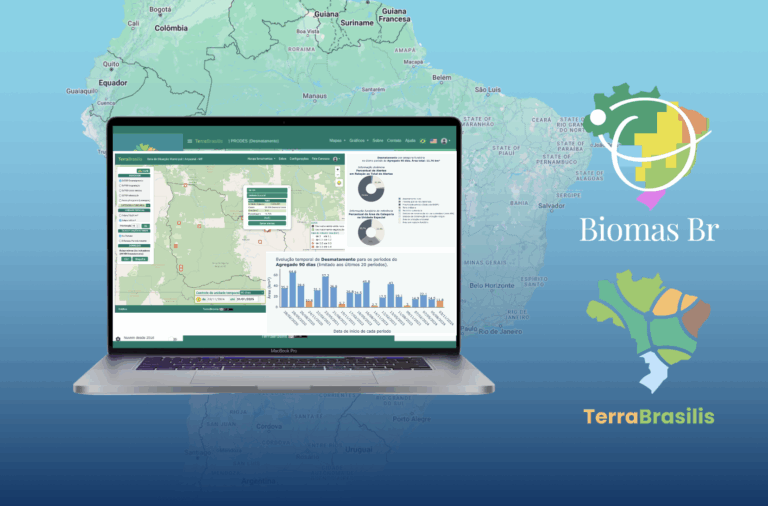 Desmatamento 2024 Amazonia e Cerrado : INPE revela dados atualizados de desmatamento Amazônia e Cerrado