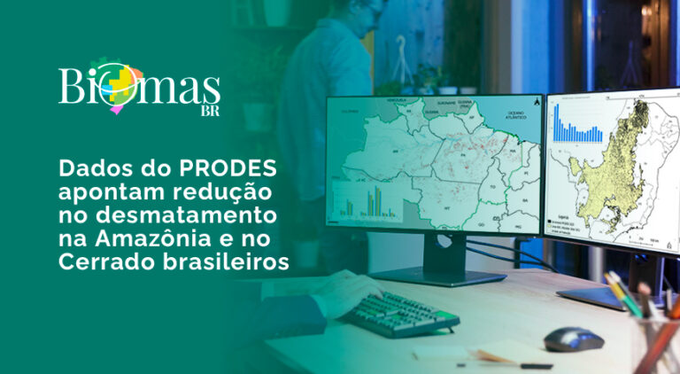 Dados do PRODES apontam redução no desmatamento na Amazônia e no Cerrado brasileiros